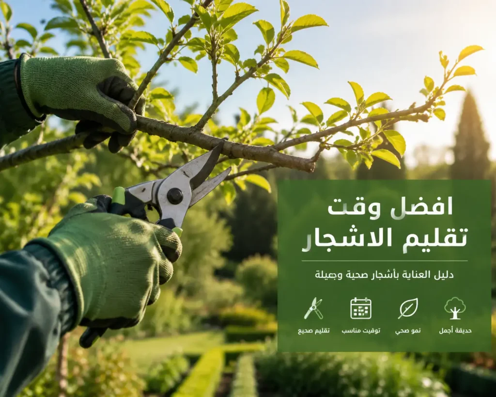 افضل وقت تقليم الاشجار
